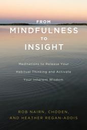 Icon image From Mindfulness to Insight: Meditations to Release Your Habitual Thinking and Activate Your Inherent Wisdom