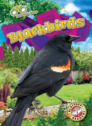 Icon image Blackbirds