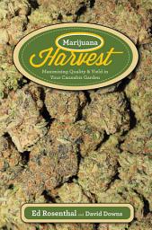 Icon image Marijuana Harvest: How to Maximize Quality and Yield in Your Cannabis Garden