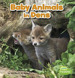 Icon image Baby Animals in Dens