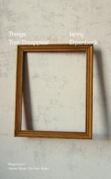 Icon image Things That Disappear