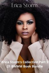 Icon image Erica Storm's, African American, Interracial BWWM Erotic Romance Bundle Part 3: african american, erotic interracial bwwm, multiracial erotica romance