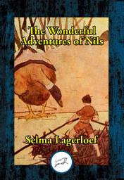 Icon image The Wonderful Adventures of Nils