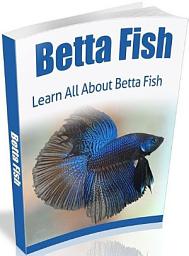 Icon image Betta Fish