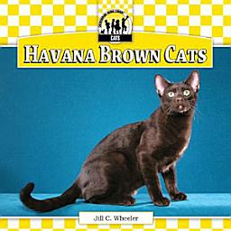 Icon image Havana Brown Cats