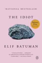 Icon image The Idiot: A Novel