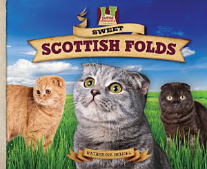 Icon image Sweet Scottish Folds