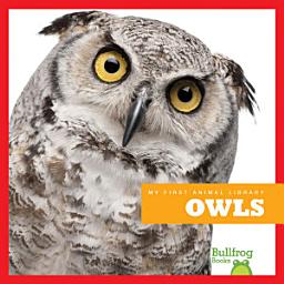 Icon image Owls