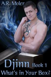 Icon image Djinn Book 1: What's in Your Box?