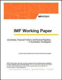 Icon image Uncertainty, Financial Frictions and Nominal Rigidities: A Quantitative Investigation