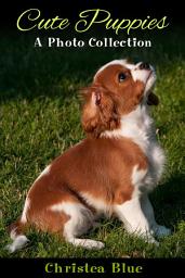Icon image Cute Puppies: A Photo Collection