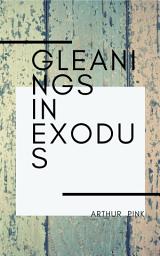 Icon image Gleanings in Exodus