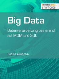 Icon image Big Data: Datenverarbeitung basierend auf MOM und SQL