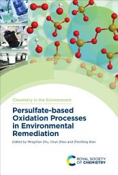 Icon image Persulfate-based Oxidation Processes in Environmental Remediation