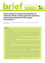 Icon image Policy options for improved integration of domestic timber markets under the voluntary partnership agreement (VPA) regime inÂ Cameroon