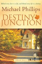 Icon image Destiny Junction: Behind Every Door is a Life, and Behind Every Life is a Destiny
