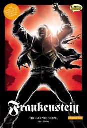 Icon image Frankenstein The Graphic Novel: Original Text