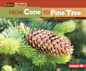 Icon image From Cone to Pine Tree