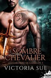 Icon image Le sombre chevalier