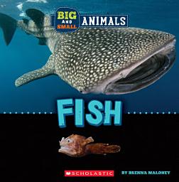 Icon image Fish (Wild World: Big and Small Animals)