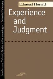 Icon image Experience and Judgment