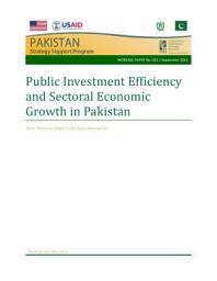 Icon image Public Investment Efficiency and Sectoral Economic Growth in Pakistan