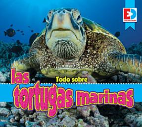 Icon image Todo sobre las tortugas marinas
