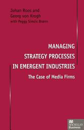 Icon image Managing Strategy Processes in Emergent Industries: The Case of Media Firms