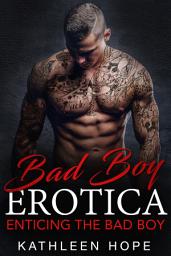 Icon image Enticing the Bad Boy