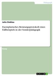 Icon image Exemplarisches Beratungsprotokoll eines Fallbeispiels in der Sonderpädagogik