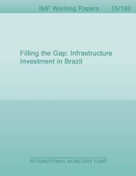 Icon image Filling the Gap: Infrastructure Investment in Brazil