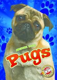 Icon image Pugs