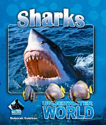 Icon image Sharks