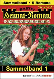 Icon image Heimat-Roman Treueband 1: 5 Romane in einem Band