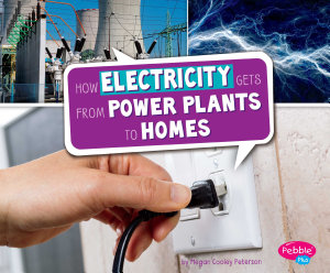 Icon image How Electricity Gets from Power Plants to Homes
