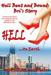 Icon image Hell on Earth: Bri's Story