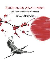 Icon image Boundless Awakening: The Heart of Buddhist Meditation