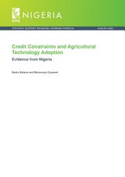 Icon image Credit constraints and agricultural technology adoption: Evidence from Nigeria