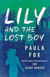 Icon image Lily and the Lost Boy