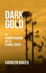 Icon image Dark Gold: The Human Shadow and the Global Crisis