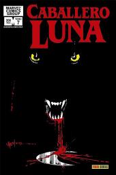 Icon image Biblioteca Caballero Luna 7