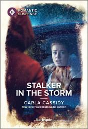 Icon image Stalker in the Storm