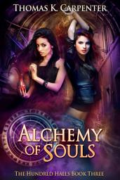 Icon image Alchemy of Souls