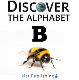 Icon image B