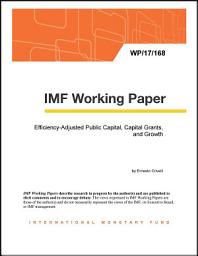 Icon image Efficiency-Adjusted Public Capital, Capital Grants, and Growth