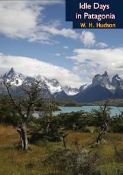Icon image Idle Days in Patagonia