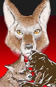 Icon image