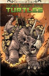 Icon image Teenage Mutant Ninja Turtles: Turtles in Time