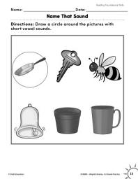 Icon image Foundational Skills: Short and Long Sounds Practice