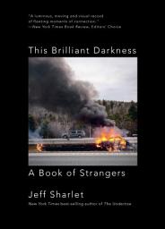 Icon image This Brilliant Darkness: A Book of Strangers